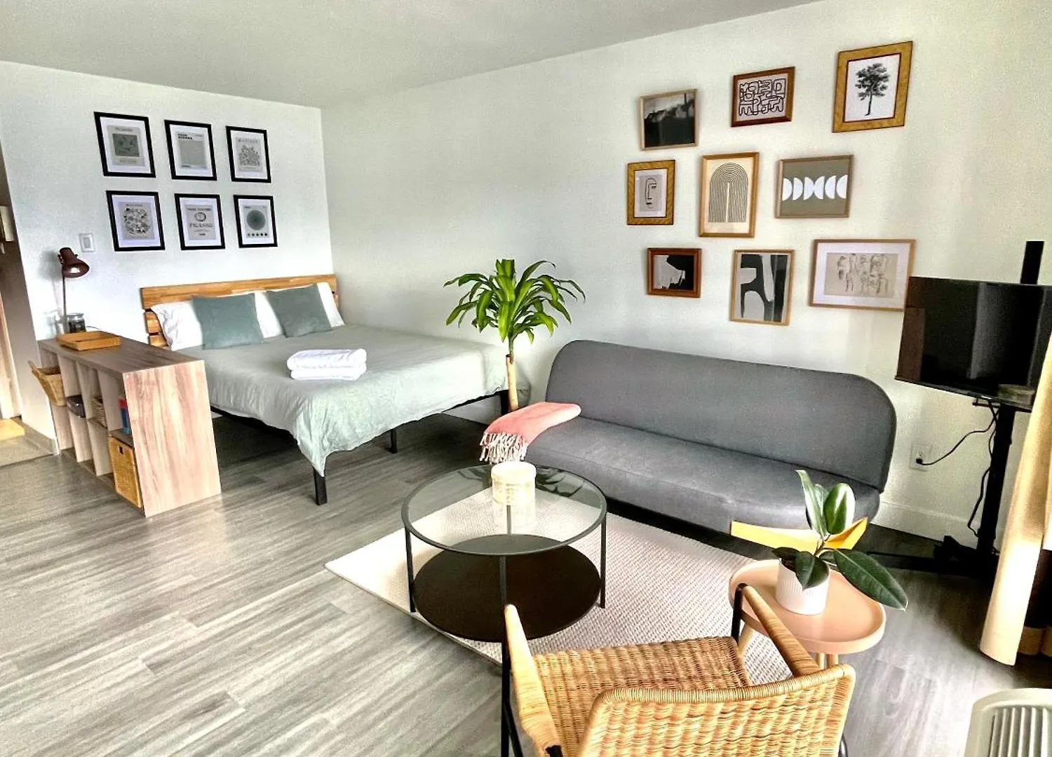 Toronto Bachelor Midtown Apartment